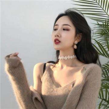 龙之歌变态版下载